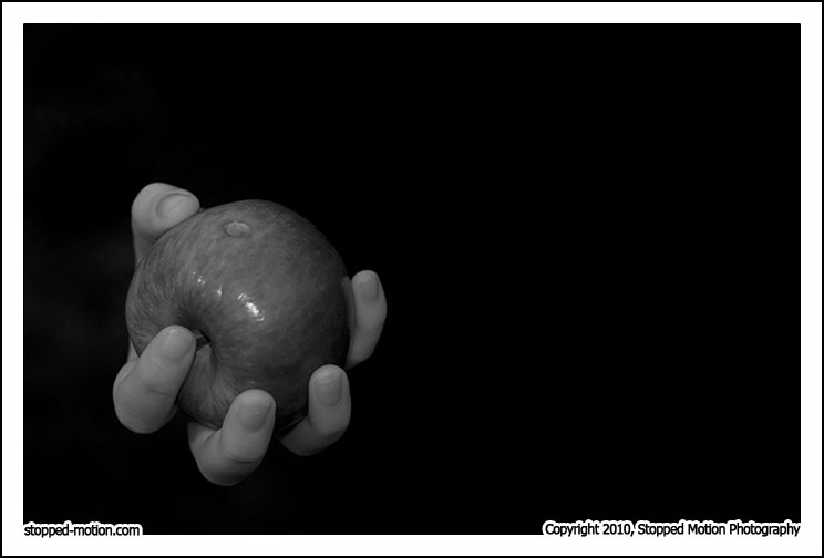 Copyright 2010, Stopped Motion Photography